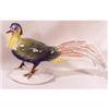 Image 1 : Porcelain Multi-colored bird or pheasant #1446633