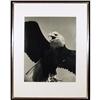 Image 1 : Will Connell Framed Photograph, Eagle c. 1940 #1473874