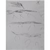 Image 1 : Joan Miro S/N Etching Journal d'un Graveur #1473910