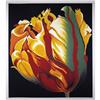 Image 1 : Lowell Nesbitt Floral Print, Parrot Tulip I #1473958