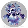 Image 1 : Lowell Nesbitt Signed Floral Serigraph, Iris #1473960