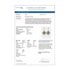 Image 4 : 9.45 ctw Morganite & Diamond Earrings 18K Yellow Gold - REF-436M4G