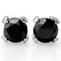 4.0 ctw VS Certified Black & White Diamond Stud Earrings 14k White Gold - REF-96M9G