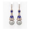 Image 1 : 6.8 ctw Sapphire & Diamond Earrings 18K Rose Gold - REF-303H6R
