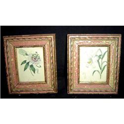 Pair of Antique French Mini- Botanicals #1446024