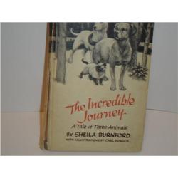 THE INCREDIBLE JOURNEY BY SHELIA BURNFORD #1483479