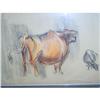 Charcoal/oil pastel  of bull and cow #1483592