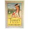 Original 50s PAN AM AIRLINES TURKEY POSTER #1483733