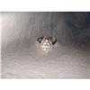 Estate 14K WG Gold 1 CT Diamond Marquise Ring #1496539