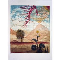 Signed Unknown   Untitlled #1496787