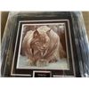 Image 2 : ROBERT BATEMAN PRINT DOZING LYNX