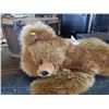 Image 2 : STYFFE BROWN TEDDY BEAR