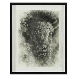 Vincent Cacciotti, Framed Original Charcoal Drawing, Hand Signed with Letter of Authenticity.