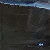 Image 2 : Wyland, "The Sky is Alive at Night" Hand Signed Original Painting on Board with Letter of Authentici