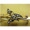 Lovely Gold & Seed Pearls BROOCH   #1444269