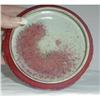 Image 1 : BRUSHWASHER OXBLOOD FLAMBE QING DYNASTY,chinese#1486201