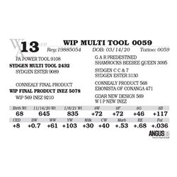 WIP MULTI TOOL 0059