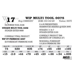 WIP MULTI TOOL 0075