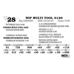 WIP MULTI TOOL 0120