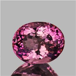 Natural Pink Tourmaline 8x6 MM {Flawless-VVS}