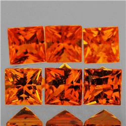 Natural AAA Golden Orange Sapphire 6 Pcs - FL