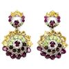 Image 1 : Natural Multi Gemstone EarRing