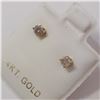 Image 3 : 14K YELLOW GOLD DIAMOND(0.18CT)  EARRINGS