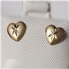 Image 1 : 14K YELLOW GOLD  EARRINGS