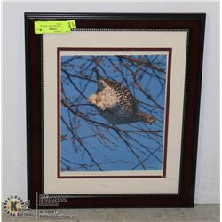 FRAMED AND MATTED GROUSE PHOTOGRAPH