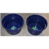 Image 1 : 2 NEW BLUE MODERN WARE GARDENING BUCKETS