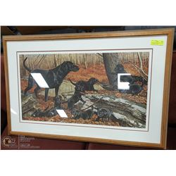 BLACK LABRADOR DOGS PICTURE BY NORMAN ADAMS