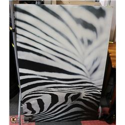 ZEBRA PICTURE 46" X 31"