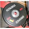 Image 1 : LOT WITH 2 HAMMER STRENGHT 55LBS WEIGHTS
