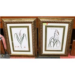 PAIR OF GOLD TONE FRAMED PICTURES 23"X29"