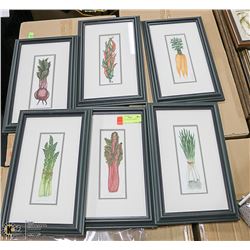 SET OF 6 VEGETABLE FRAMED PRINTS