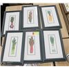 Image 1 : SET OF 6 VEGETABLE FRAMED PRINTS