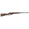 Image 1 : Winchester Model 1895 .30WCF