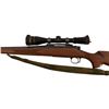Image 4 : Remington Model 700 .22-250