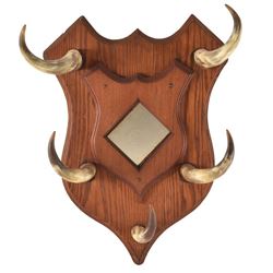 Antique Horn Hat Rack / Mirror