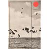 Image 1 : "Midway" Signed Hardcover Book