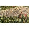 Image 2 : Bev Doolittle "Music In The Wind." Print