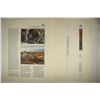 Image 4 : SENEGAL FLAGS OF ALL NATIONS OFFICIAL UNICEF PROOF