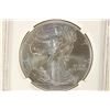 Image 1 : 2016 AMERICAN SILVER EAGLE NGC MS70 1ST RELEASES