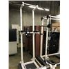 Image 2 : ABDOMINAL LEG LIFT/DIP STATION