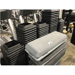 LARGE LOT OF STEPPERS WITH RISERS