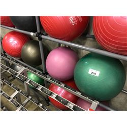 4 YOGA BALLS
