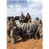 Image 1 : Diamond Wing Outfitters 3 Days & 3 Nights Sandhill Crane Hunt in Texas Panhandle for Two Hunters