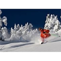 Crystal Mountain Ski resort 4 Lift ticket Vouchers 2021 Season or Summer Gondola Ride