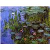 Image 1 : Claude Monet - Gardens