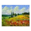 Image 1 : Mark Braver, Original Acrylic Painting on Canvas, Hand Signed with Letter of Aut